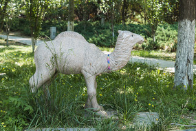 ����ʯ��