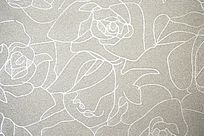 õ����������