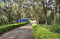 ����С��