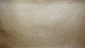 Ƥ����Ʊ���