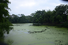 ׳�۵ĺ���ˮ��