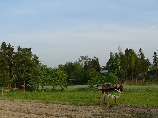 ��Ȼ����