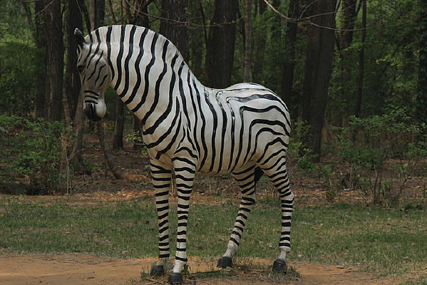 ����ʯ��