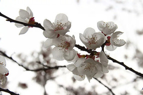 ������һ�