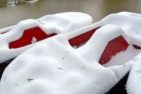 ��԰�δ��ϵĲ�ѩ