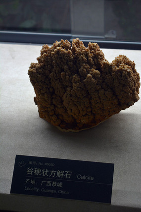 ��������״����ʯ