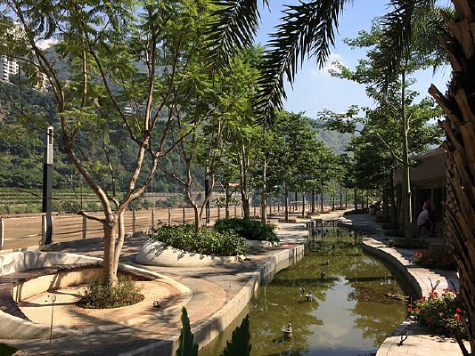 ���׵��峿