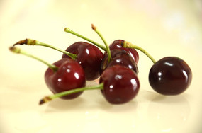 ����ӣ��