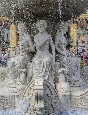 ������ֲܾ�