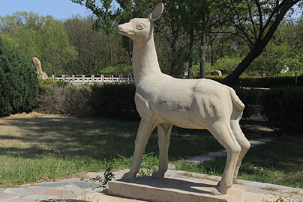 ������¹