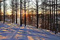 ѩԭ����ĺɫ