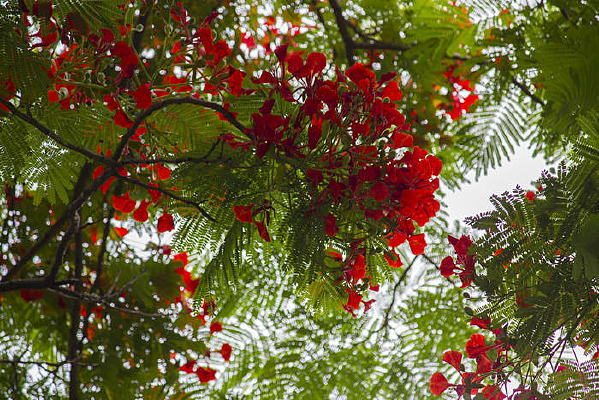 ������˻�