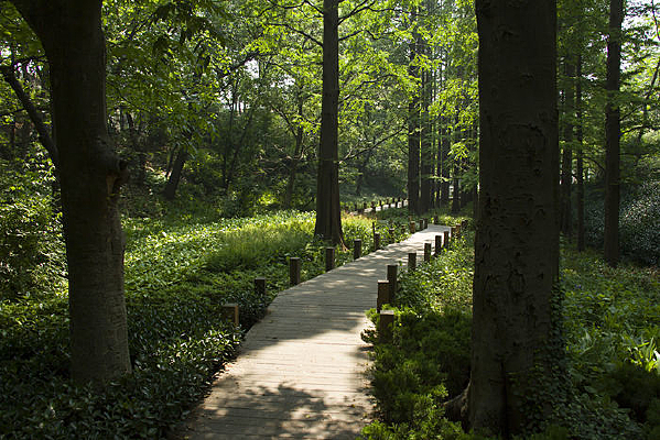 ԰�ֵ�ľջ��