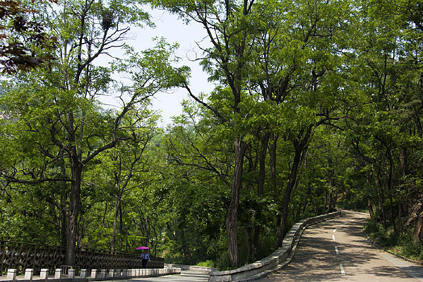 ԰������