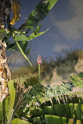 ��Ȼ����