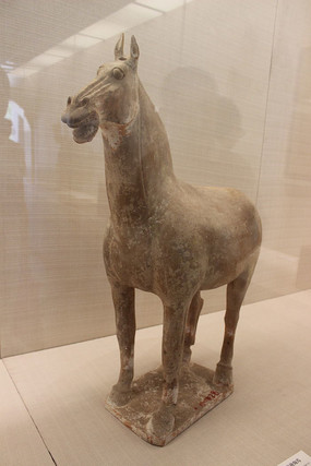 �ʻ�����