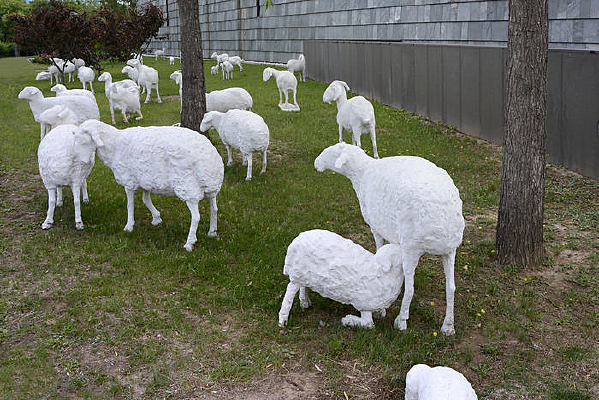 ���ܰ�ɫ��Ⱥ