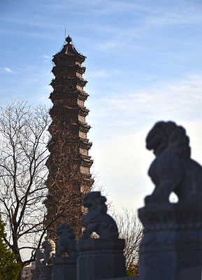 ���յĿ���������԰��������ʯʨ��