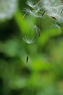 ����ʱ��