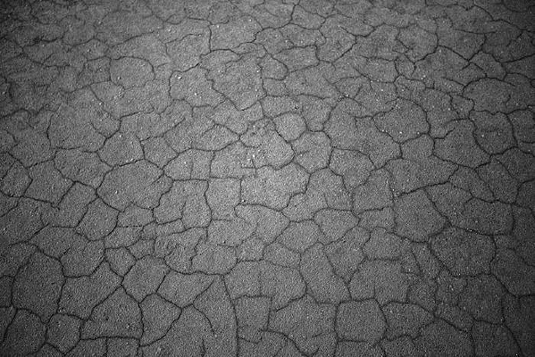 ���ѵ�����