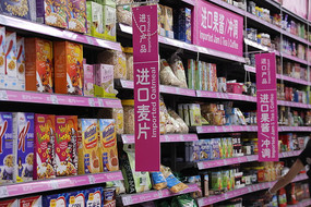 ���ָ�������ʳ