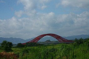 ��ɫ����