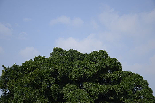 �޴������