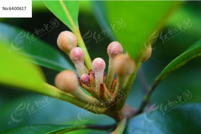 ��ʼ����Ĺ�ʵͼƬ