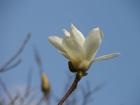 �����µİ�������