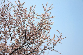 �����ӻ���Ӱ