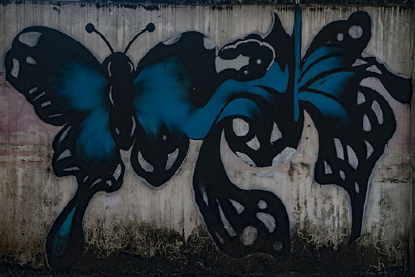 ��ֻ��ɫ����Ϳѻǽ