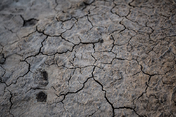 ȱˮ������