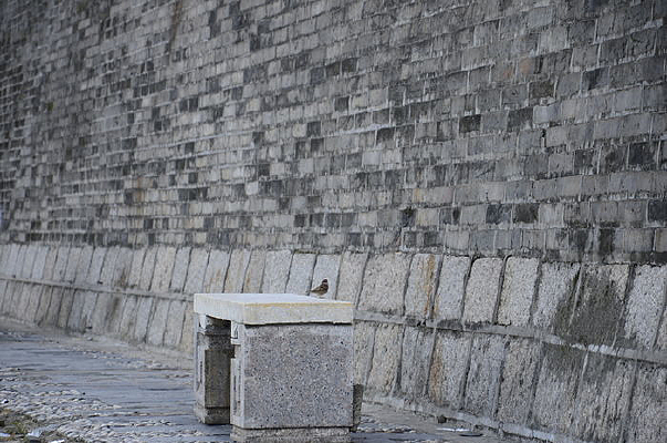 ʯ���ϵ���ȸ