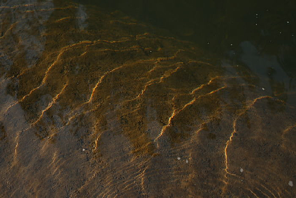 ��ɫˮ����