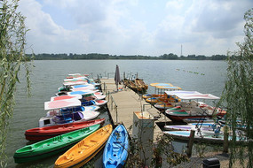 ��ͷ��ʴ�ֻ