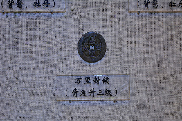 ������ͨ��