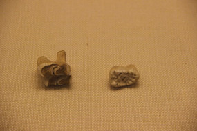 ������ʯ