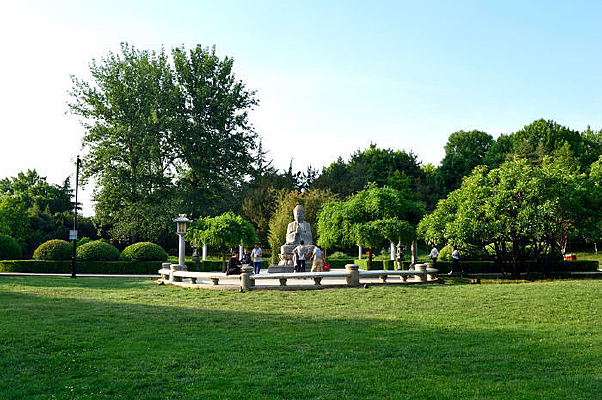 ��ƺ��԰����