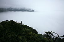 �߷�����