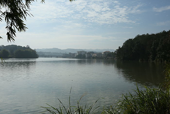 ��Ҷ�����ĺ���