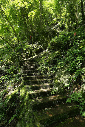 ̨�׺�����