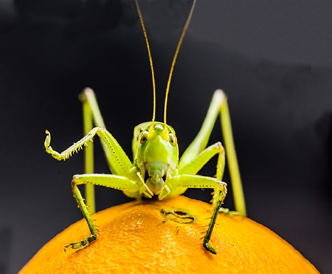 ������д