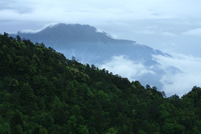 ���е�ɽ��