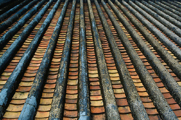 �߷��ݶ��Ļ�