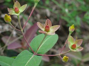 ��˿�ҵ�����