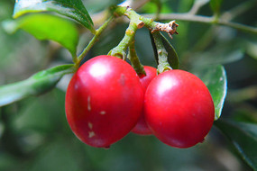 ������Ĺ�ʵ