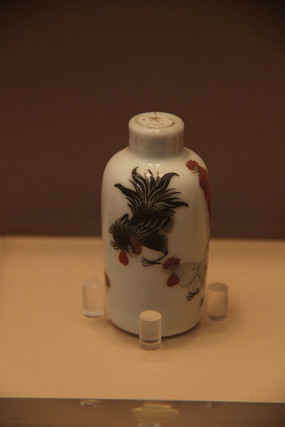 ���Ʊ��̺�