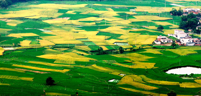 ���������Ķ����