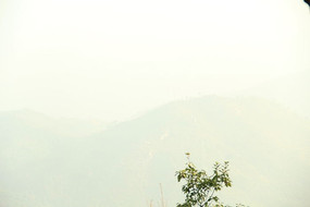 �Ʋ�ɽ����