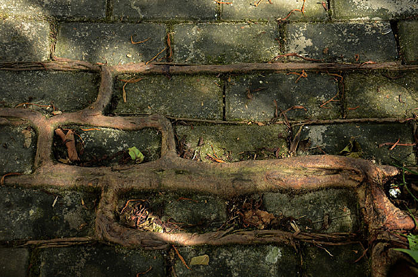 ���ݵ�������������